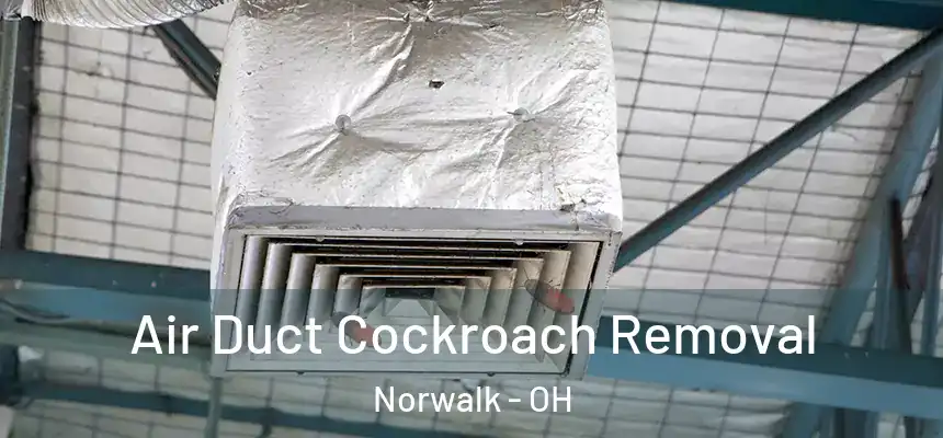 Air Duct Cockroach Removal Norwalk - OH