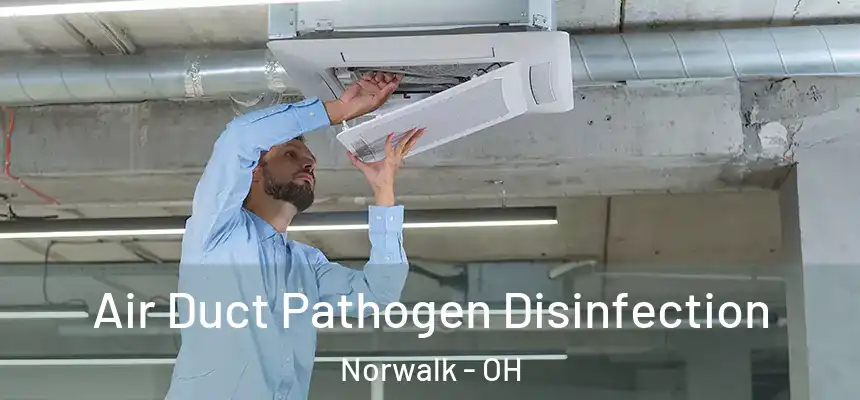 Air Duct Pathogen Disinfection Norwalk - OH