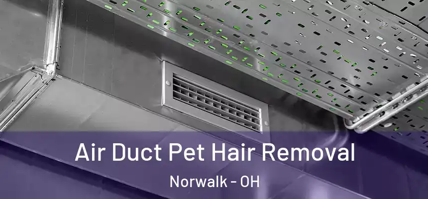 Air Duct Pet Hair Removal Norwalk - OH