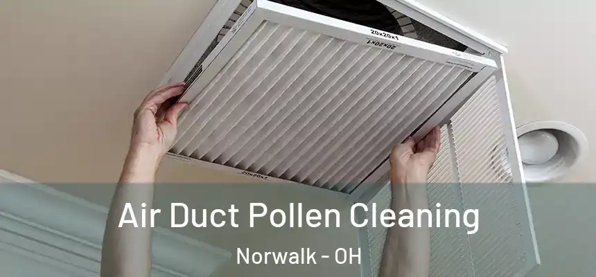 Air Duct Pollen Cleaning Norwalk - OH