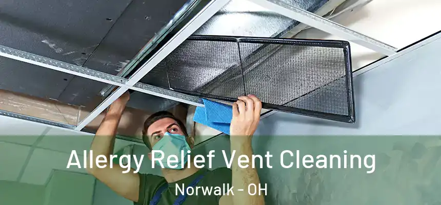 Allergy Relief Vent Cleaning Norwalk - OH