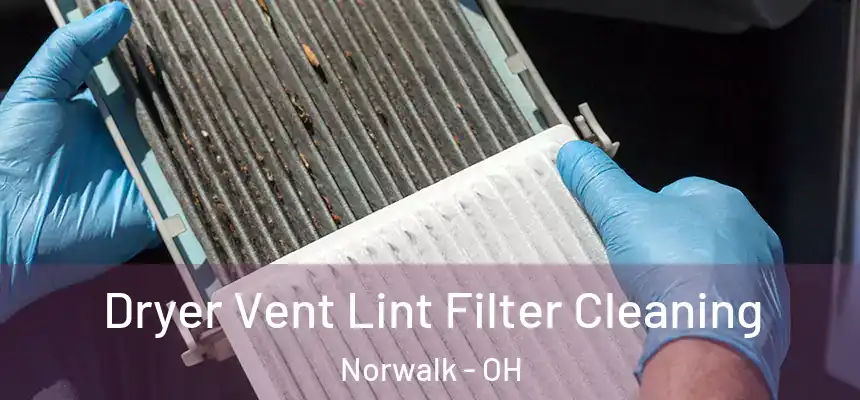 Dryer Vent Lint Filter Cleaning Norwalk - OH