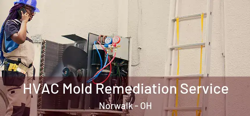  HVAC Mold Remediation Service Norwalk - OH