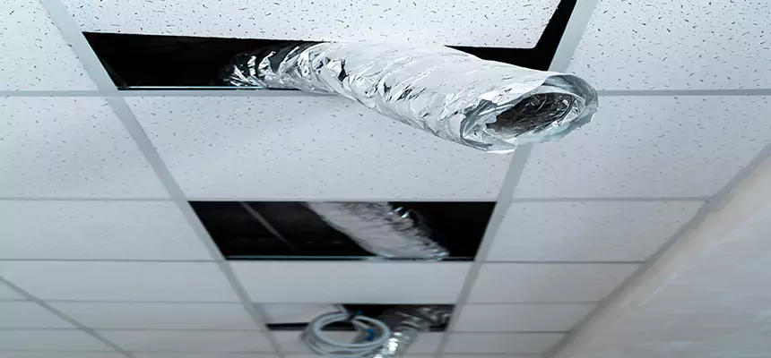 Our Air Duct Pet Hair Removal Services in Norwalk, OH