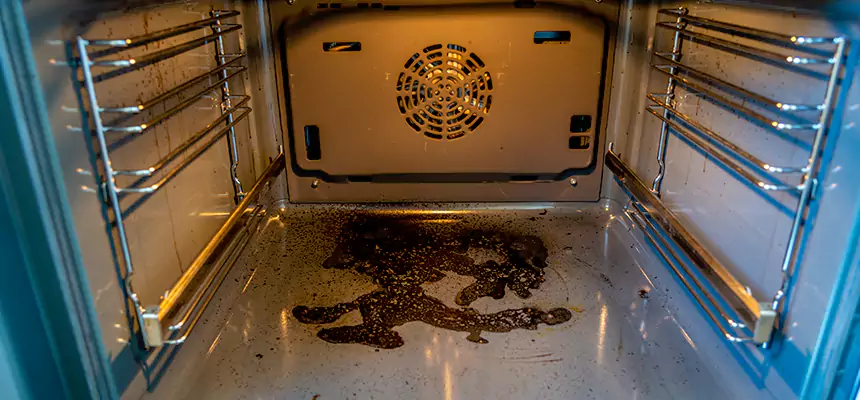 Our Dryer Vent Mold Cleaning Services in Norwalk, OH