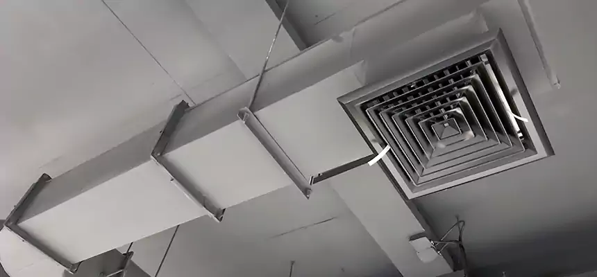 Our Pest Removal From Ducts Services in Norwalk, OH