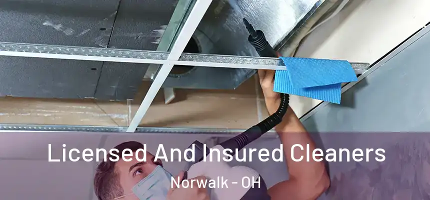 Licensed And Insured Cleaners Norwalk - OH