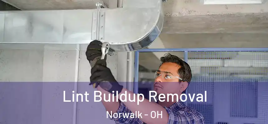  Lint Buildup Removal Norwalk - OH