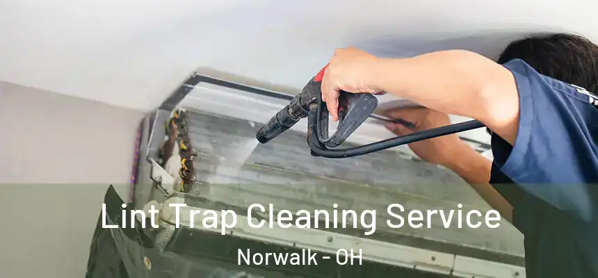 Lint Trap Cleaning Service Norwalk - OH