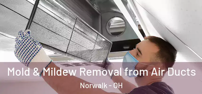  Mold & Mildew Removal from Air Ducts Norwalk - OH