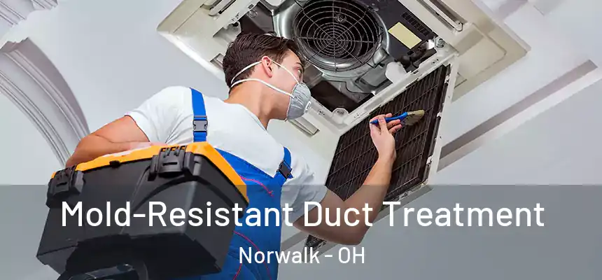  Mold-Resistant Duct Treatment Norwalk - OH