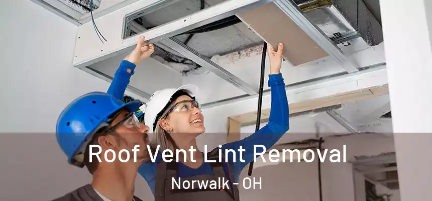  Roof Vent Lint Removal Norwalk - OH