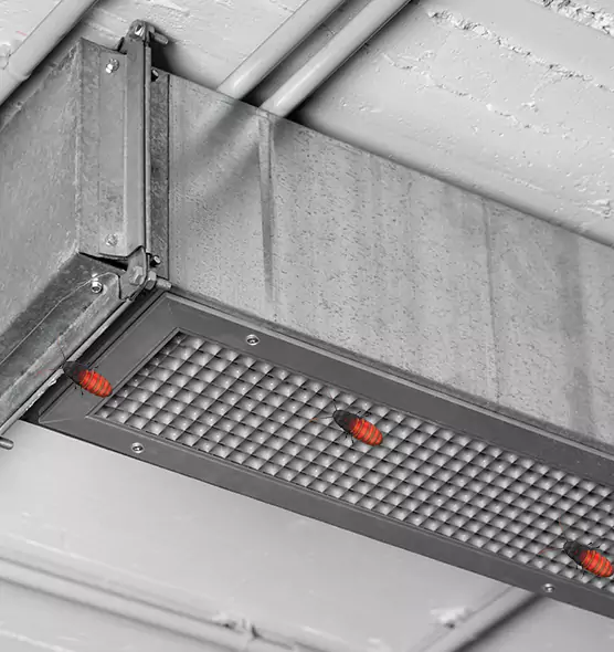 About Air Duct Cockroach Removal in Norwalk, OH