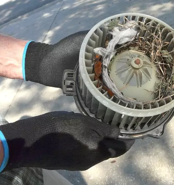 About Air Duct Mice Removal in Norwalk, OH