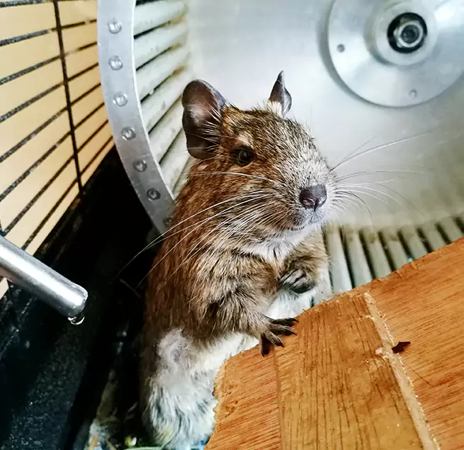 Why Homeowners & Businesses Trust Us Norwalk, OH